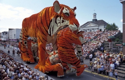 Lễ hội Bloemencorso