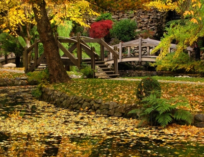 7 khu vườn xuân đẹp nhất Melbourne