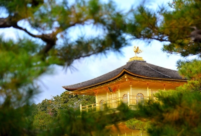 Osaka - Kyoto - Kobe - Nagoya - Phú Sĩ - Tokyo