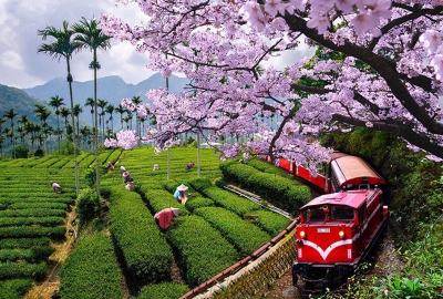 Cao Hùng - Gia Nghĩa - A Lý Sơn - Đài Trung - Đài Bắc