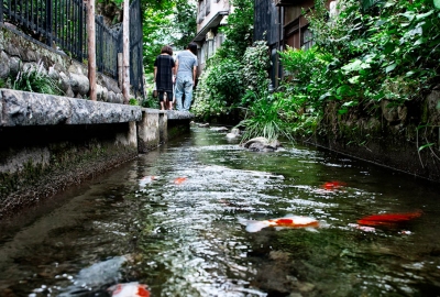 Làng Cổ Gujo - Hakone - Núi Phú Sĩ - Tokyo