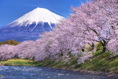 Osaka - Kyoto - Nagoya - Núi Phú Sĩ