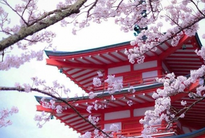 Tokyo - Núi Phú Sĩ - Làng cổ Oshino Hakkai - 5 Ngày 4 Đêm