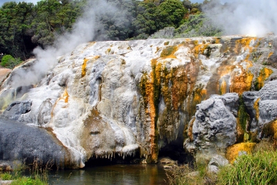 Auckland - Waitomo - Rotorua - Matamata