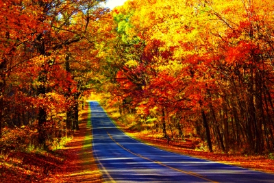 THU QUYẾN RŨ: FALL FOLIAGE IN VIRGINIA