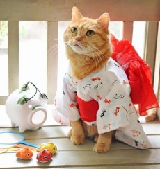 Thú cưng cũng được hóa trang giống như chủ của mình